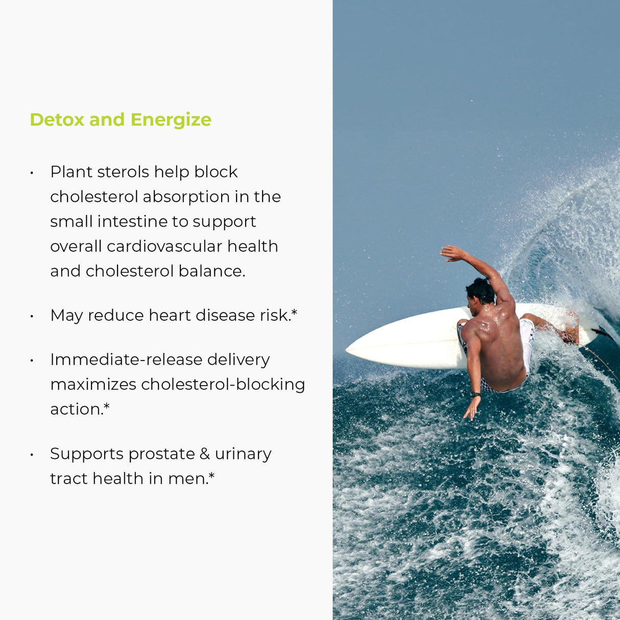 Endur Phytosterols, Promotes Heart & Prostate Health for Men, Helps Block Cholesterol Absorption & Support Urinary Comfort, 450mg (180 Tablets)