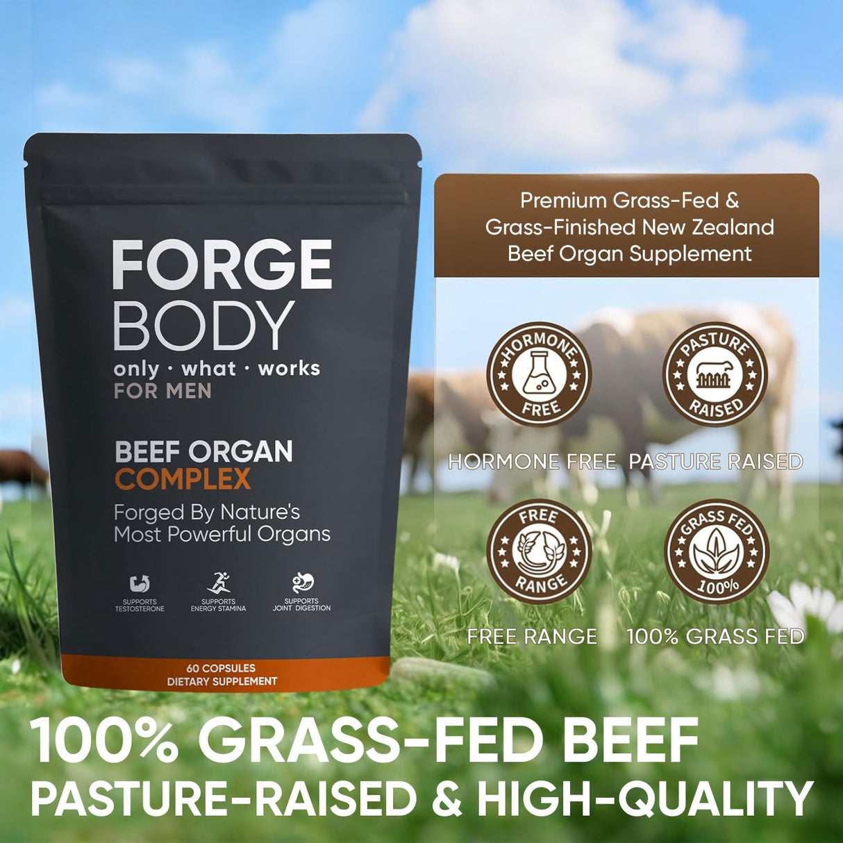 KXVUDE Forgebody Beef Organ Complex Capsules, Grass Fed & Pasture Raised - Total Body Wellness & Performance, Immune Support, Gluten-Free, Non-GMO, 60 Count (1)