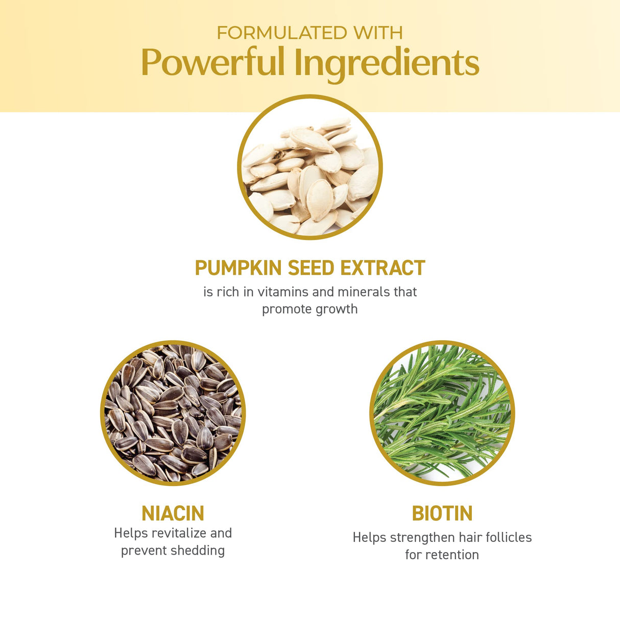 BosleyMD BosDefense KIT for Hair Thinning Prevention (Color Safe), Starter Size (30 Days).