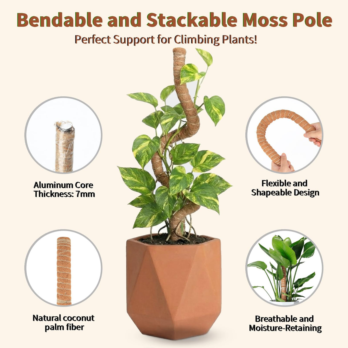 28'' Bendable Moss Poles & 12'' Stackable Coir Plant Sticks for Monstera