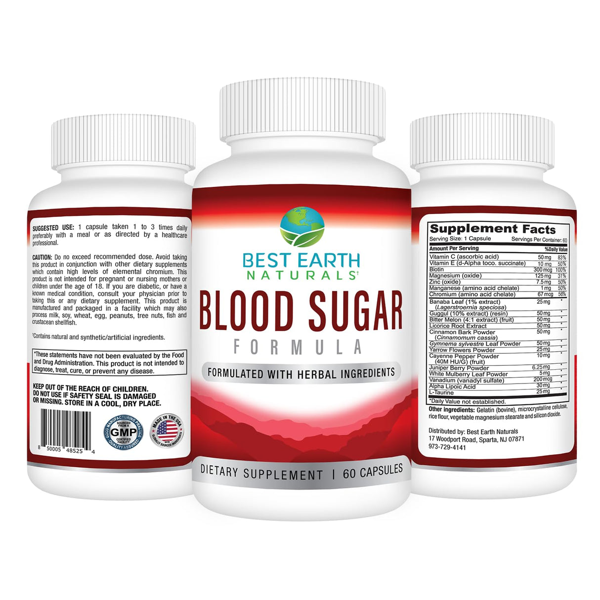 Best Earth Naturals Blood Sugar Formula with Cinnamon, Gymnema Sylvestre, Banaba, Guggul and More 60 Count