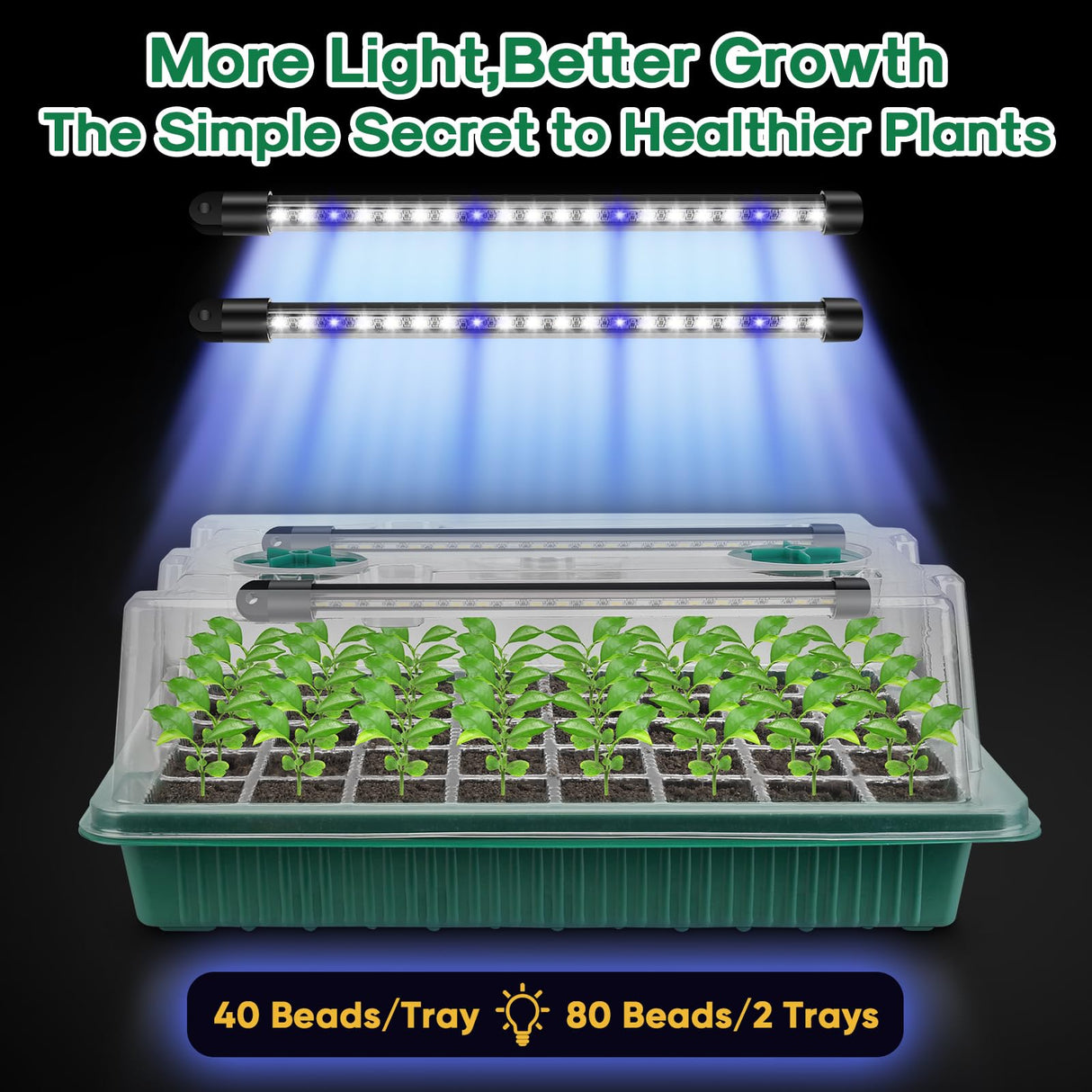 BlumWay Seed Starter Tray with Grow Light,2 Pack 80 Cells Seedling Tray Kit with Humidity Dome/Indoor Plant Starter Kit, Adjustable Brightness Plant Germination Trays-Green
