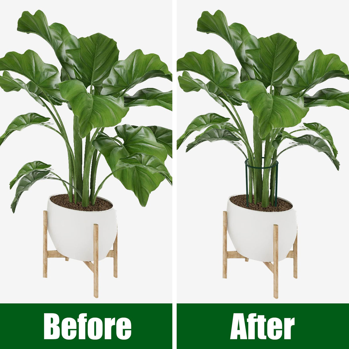 FEED GARDEN 8 Pack Peony Cages and Supports, Plant Support Stakes for Outdoor & Indoor Plants, 10" W x 16" H Half Round Garden Plant Support Rings for Peonies, Hydrangeas, Roses, Dahlias
