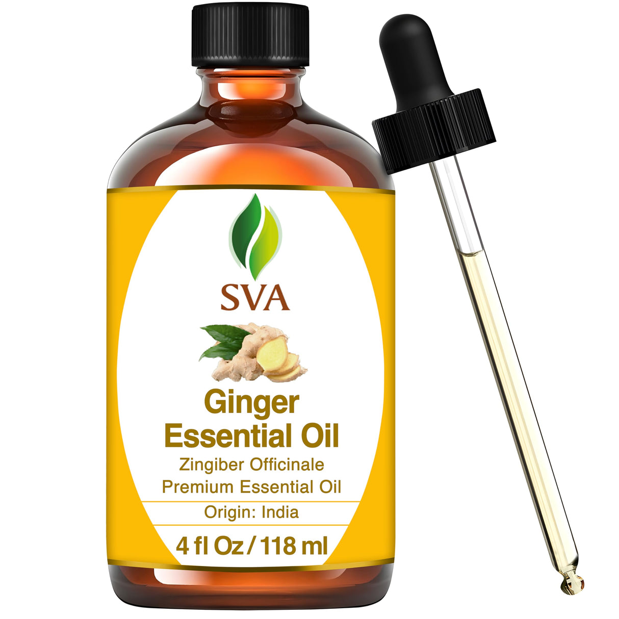 SVA Ginger Essential Oil – 4 Fl Oz – 100% Natural Ginger Oil - for Diffuser, Hair Care, Face, Skin Care, Aromatherapy, Scalp and Body Massage, Soap and Candle Making – with Dropper
