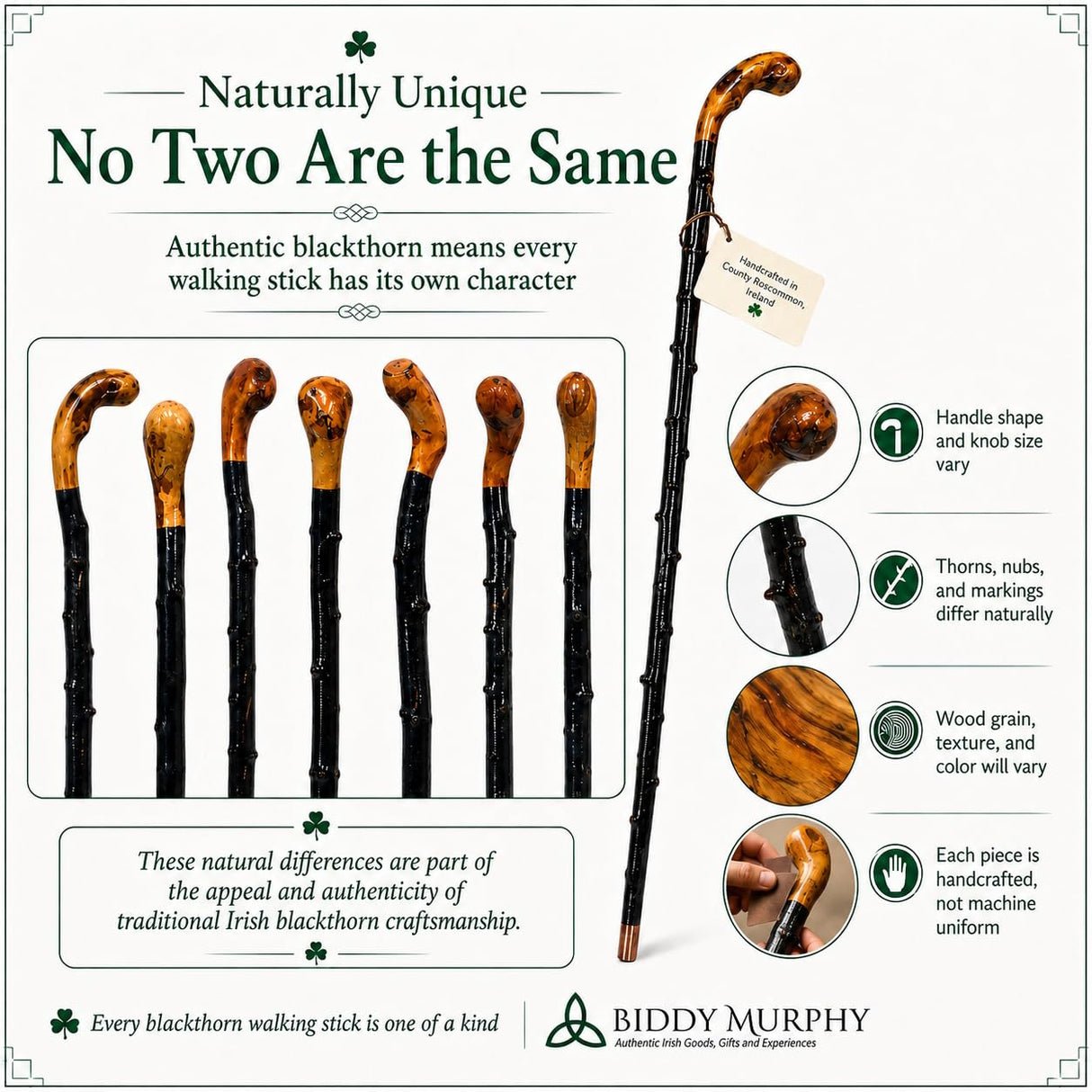Imported Shillelagh Wooden Irish Walking Stick, Handcrafted 100% Blackthorn Lightweight Wood Cane, Handles All Unique, Black High Gloss Lacquered, Made in Ireland 36"