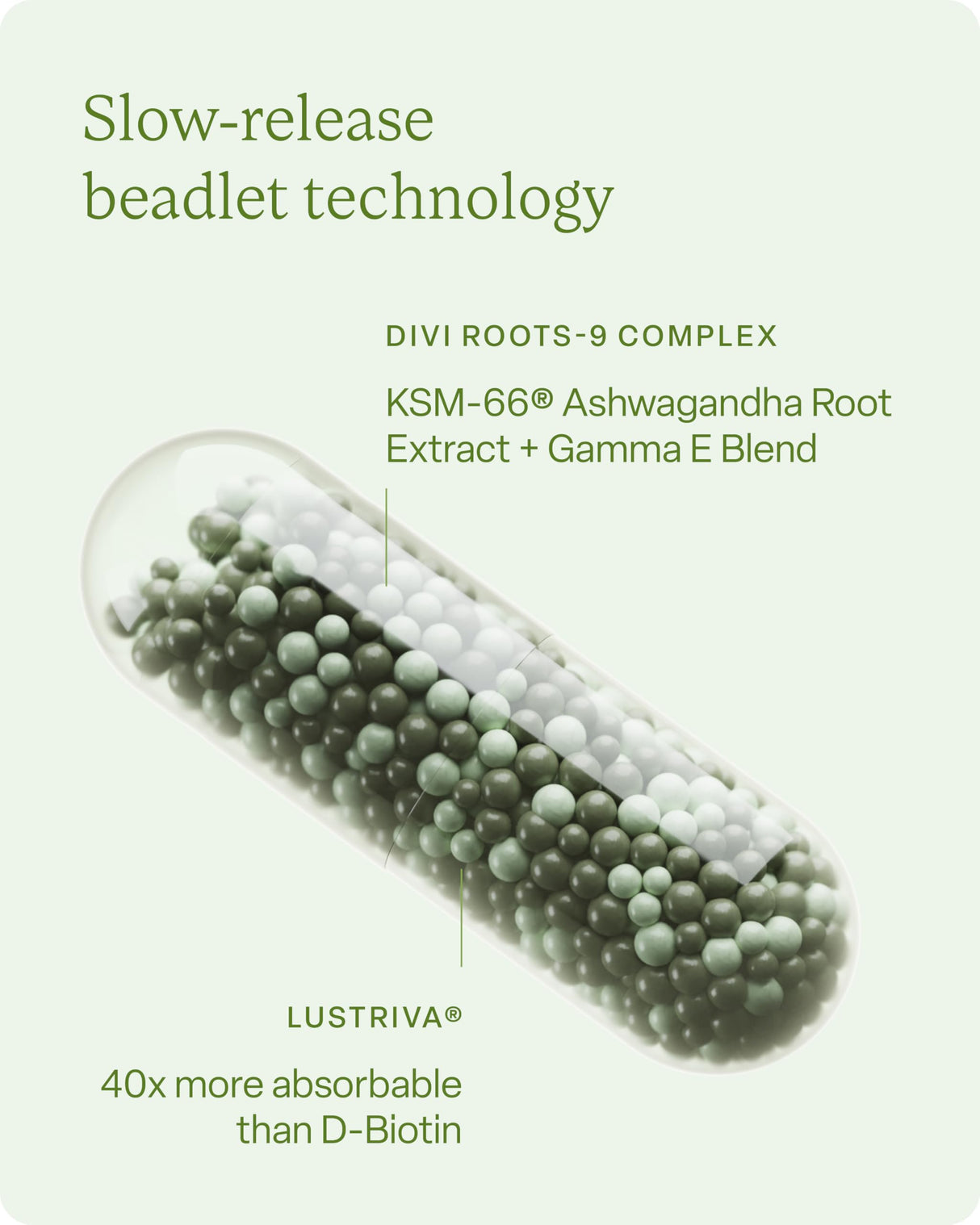 divi Hair Vitamins for Women and Men - Made with Clean and Science-Backed Ingredients to Grow + Thicken - Create a Healthy Hair Environment - 30 Day Supply, 120 Count