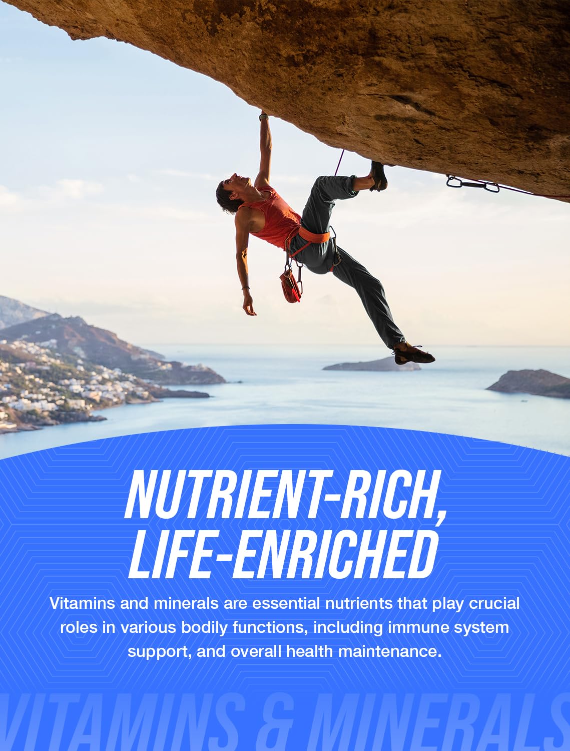 BulkSupplements.com Palmitoylethanolamide Powder - Pea Supplement, Palmitoylethanolamide 250mg - Immmune Support, Gluten Free, 250mg per Serving, 250g (8.8 oz) (Pack of 1)