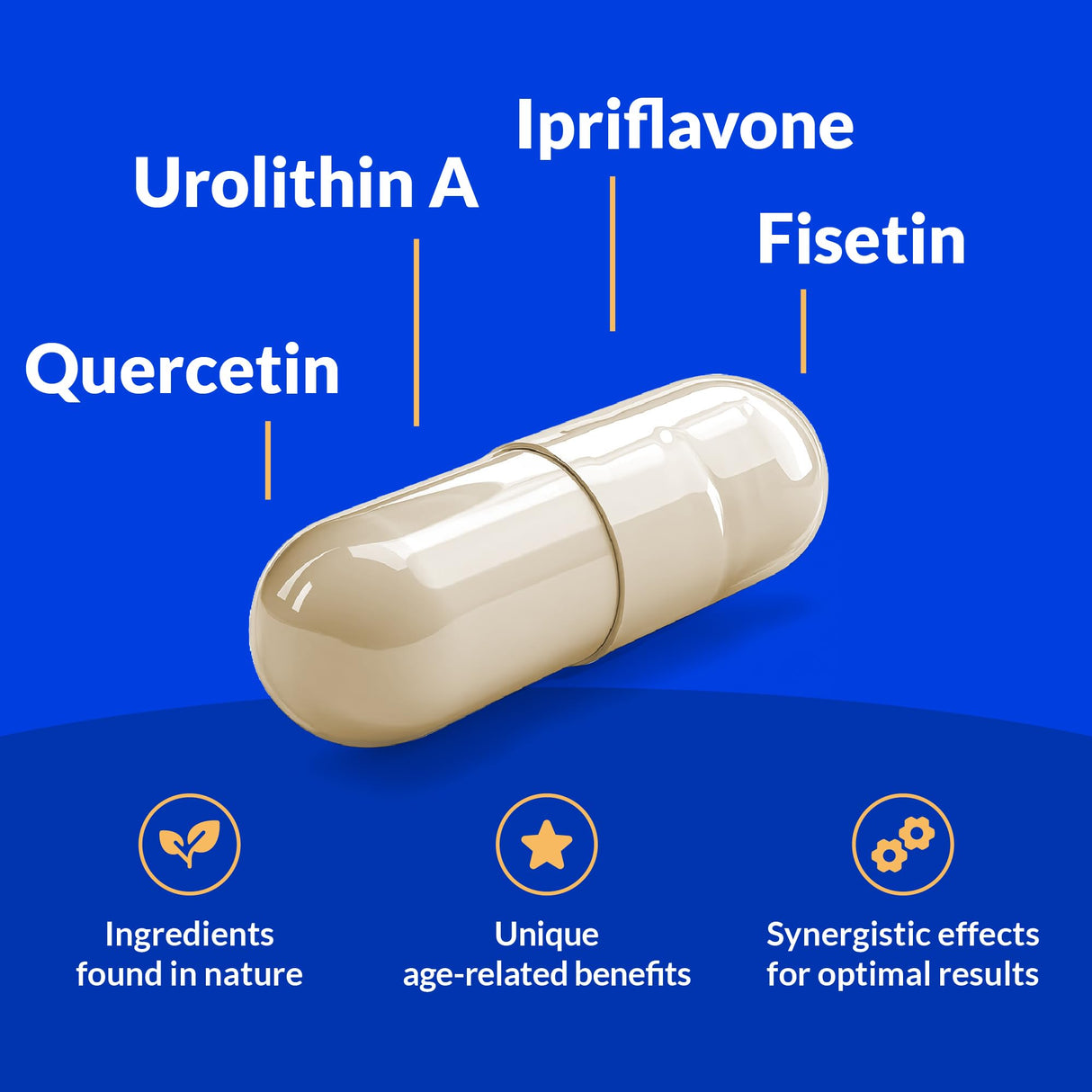 CogniSHIELD Brain Health Supplement - 60 Count - Support Strong Memory, Recall - Protect Against Normal Age-Related Cognitive Decline
