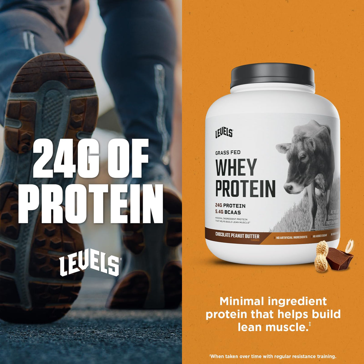 Levels Grass Fed Whey Protein Powder, No Artificials, 24G of Protein, Chocolate Peanut Butter, 5LB