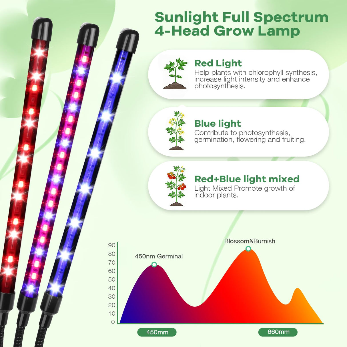 AURAZIGLI Led Grow Lights, 4 Heads Red Blue Plant Light with Clamp for Indoor Plants & Seed Starting, 10-Level Dimmable, Auto On Off, Timing 3 9 12Hrs