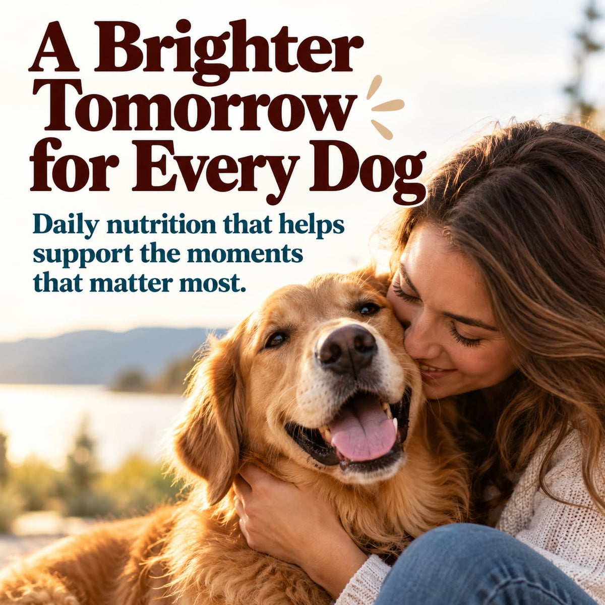 Natural Dog Company Wild Alaskan Salmon Oil for Dogs - 16 oz
