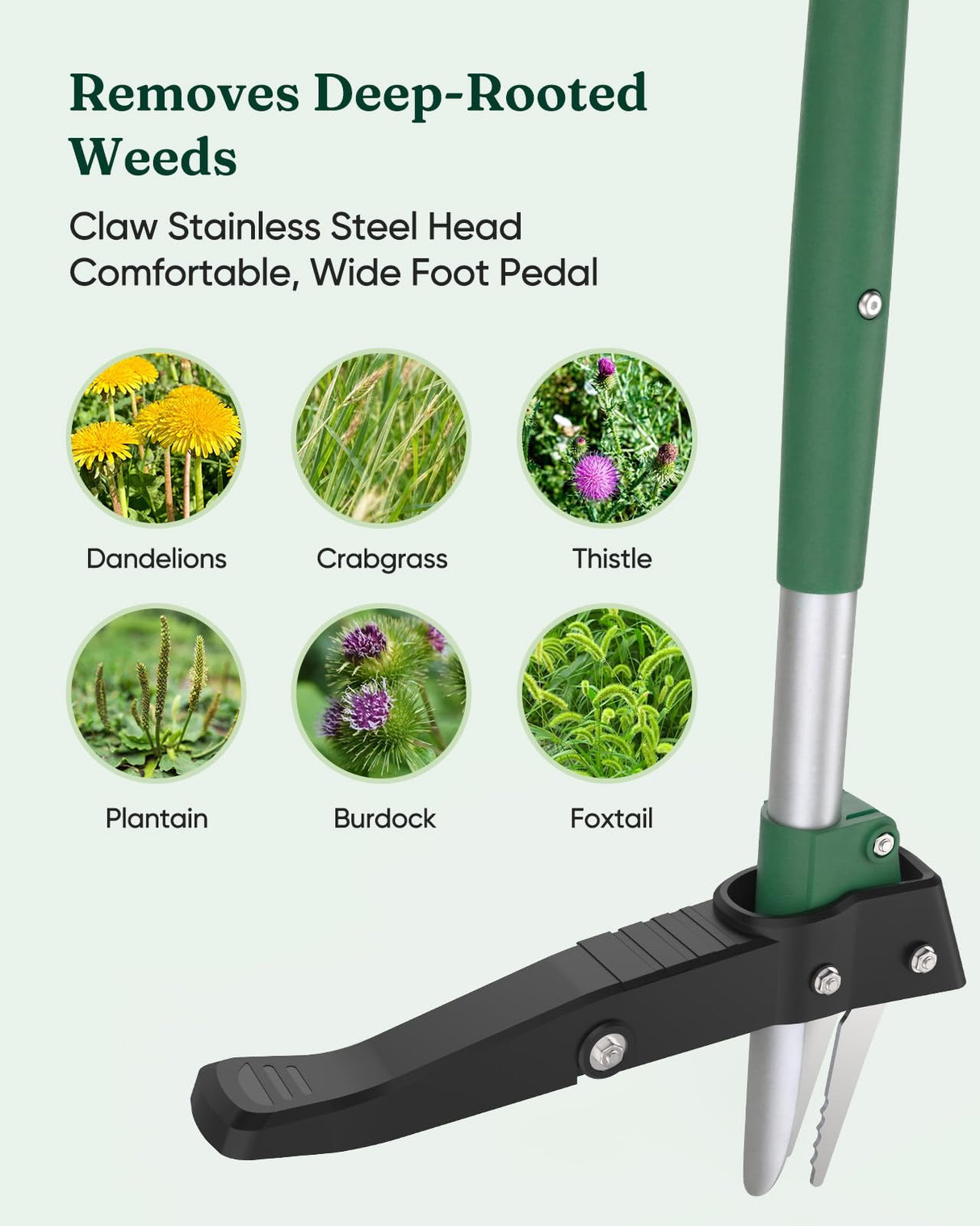 Grenebo Stand Up Weed Puller Tool, Claw Garden Weed Removal Tool with Eject Mechanism, Heavy-Duty Manual Weeder, Root Weed Remover Tool for Dandelion, Crabgrass & Weeds, Without Bending, or Kneeling