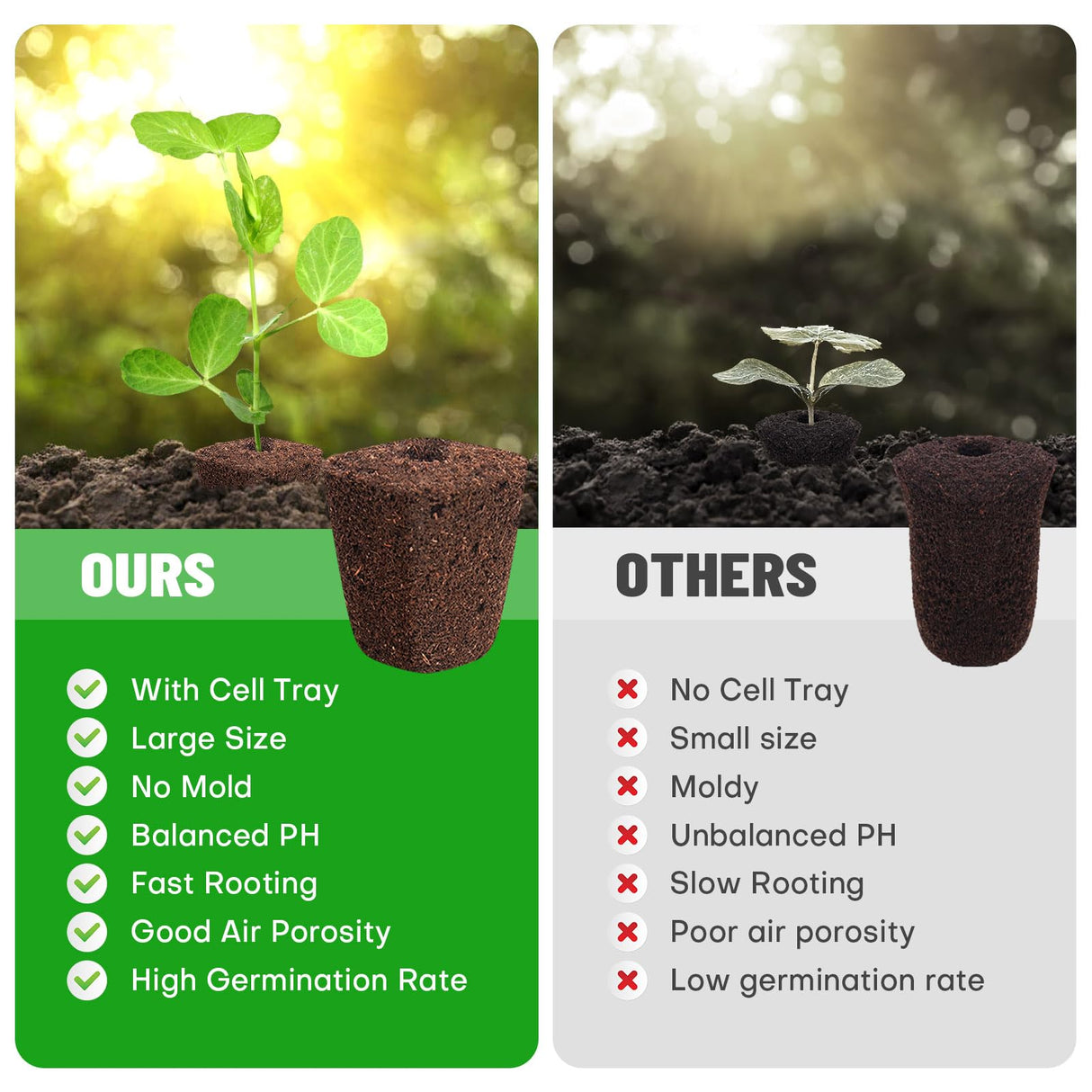 LAPOND 40 Pcs Seed Starter Plugs with Tray, Replacement Grow Sponges Plant Plugs, Great for Soil, Tray or Planting Pods, Promotes Herbs, Vegetables and Flowers Growth