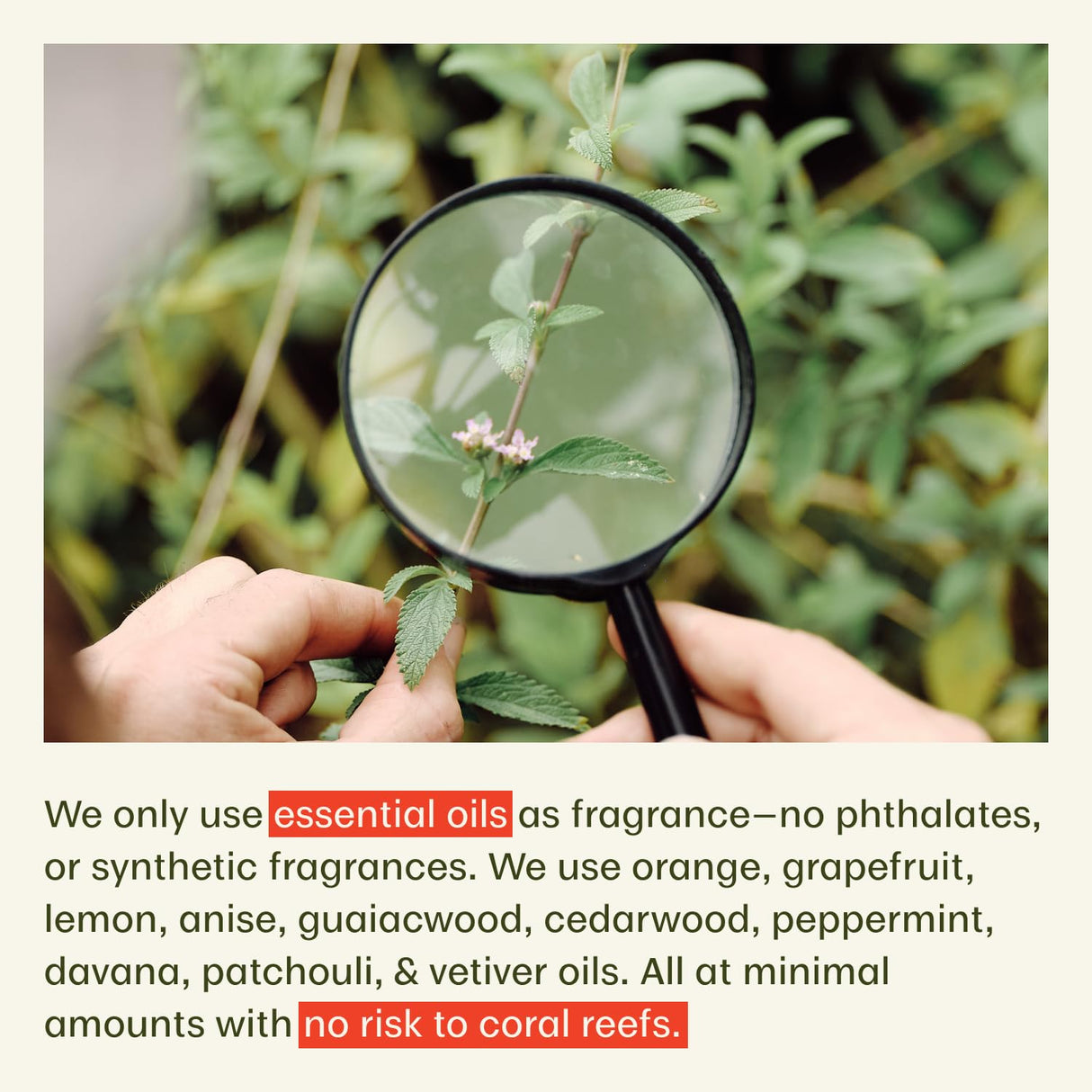 Thrive Reef Safe Sunscreen SPF50 - Hawaii 104 Reef Act Compliant - Mineral Sunscreen Non-Nano Zinc Oxide - Vegan, (5.8 Oz (Pack of 1))