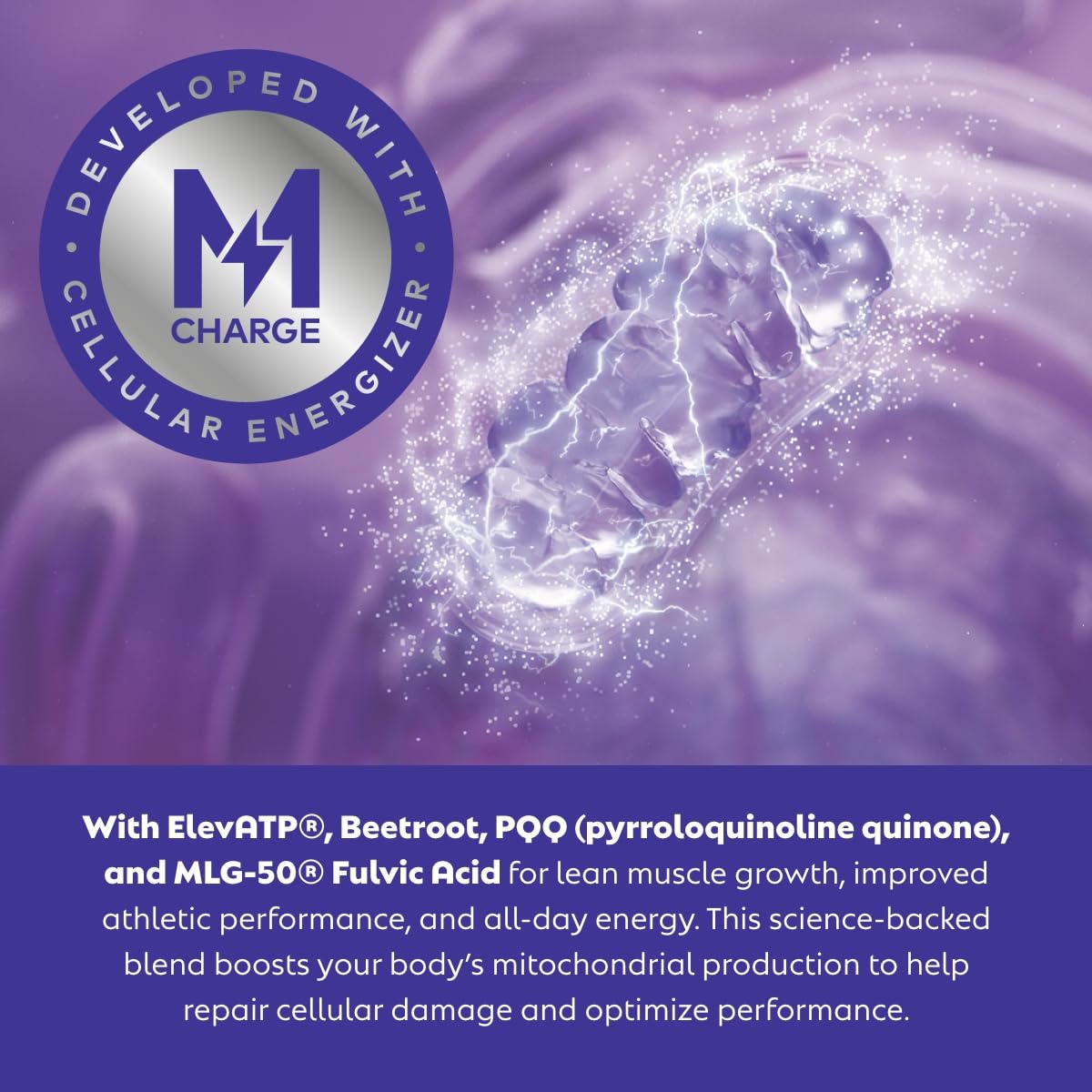 L'Evate You Vitality Daily Greens Powder (28 Servings) 30 Superfoods, 9 Greens - for a Cellular Energy Boost, Powered by M-Charge Complex for All Day Energy (Chocolate)