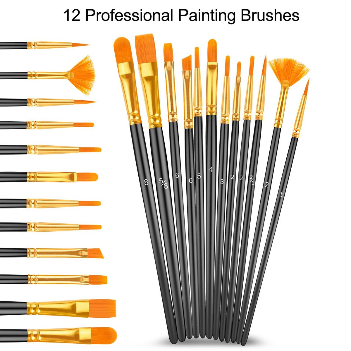Caliart Acrylic Paint Set of 36 Colors with 12 Brushes