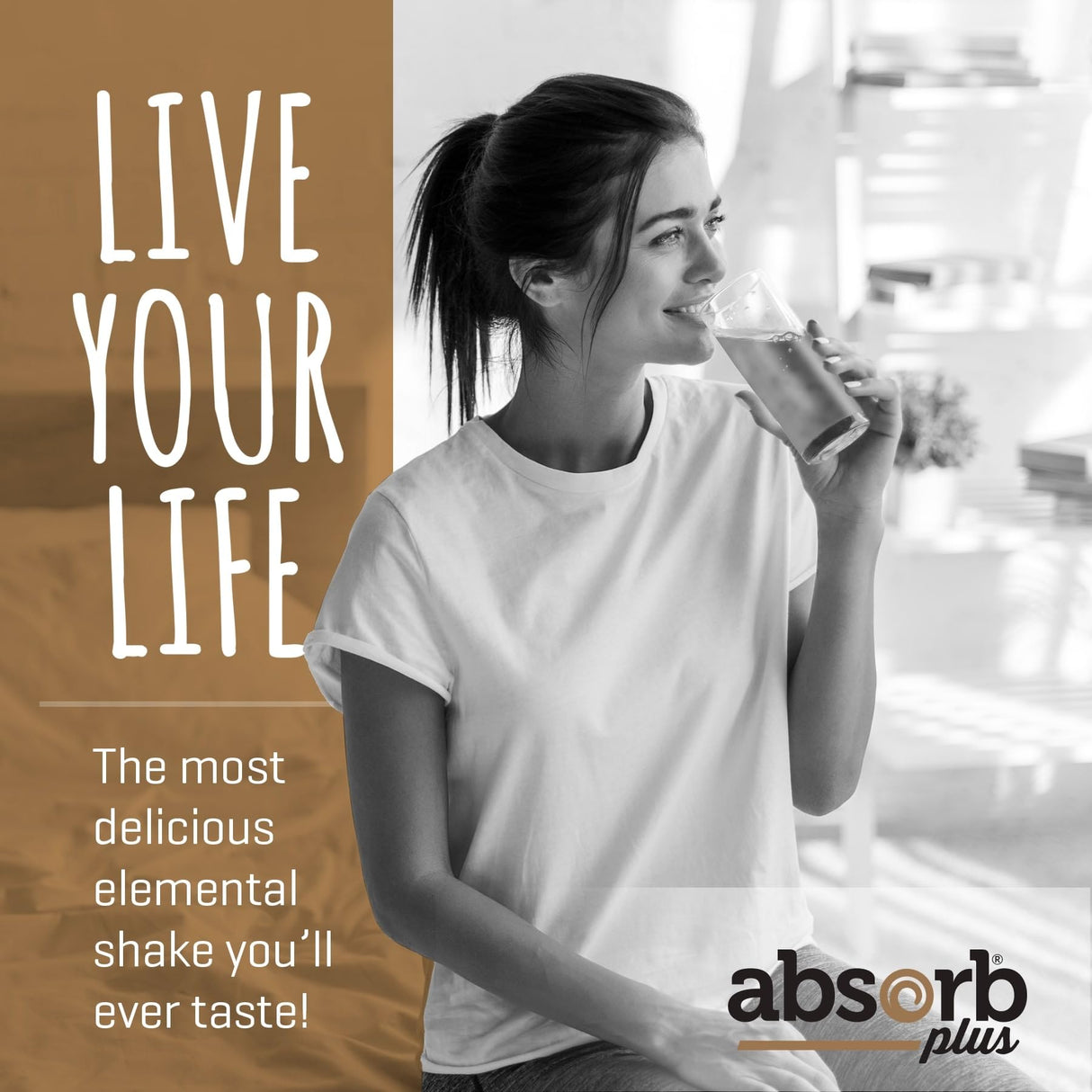 Absorb Plus Vegan Elemental Shake – Nutrient-Rich Powder Nutritional Support, Natural Ingredients, Non-GMO, Gluten-Free, Organic Sprouted Rice Protein (2.2 Pound, Mocha Latte)