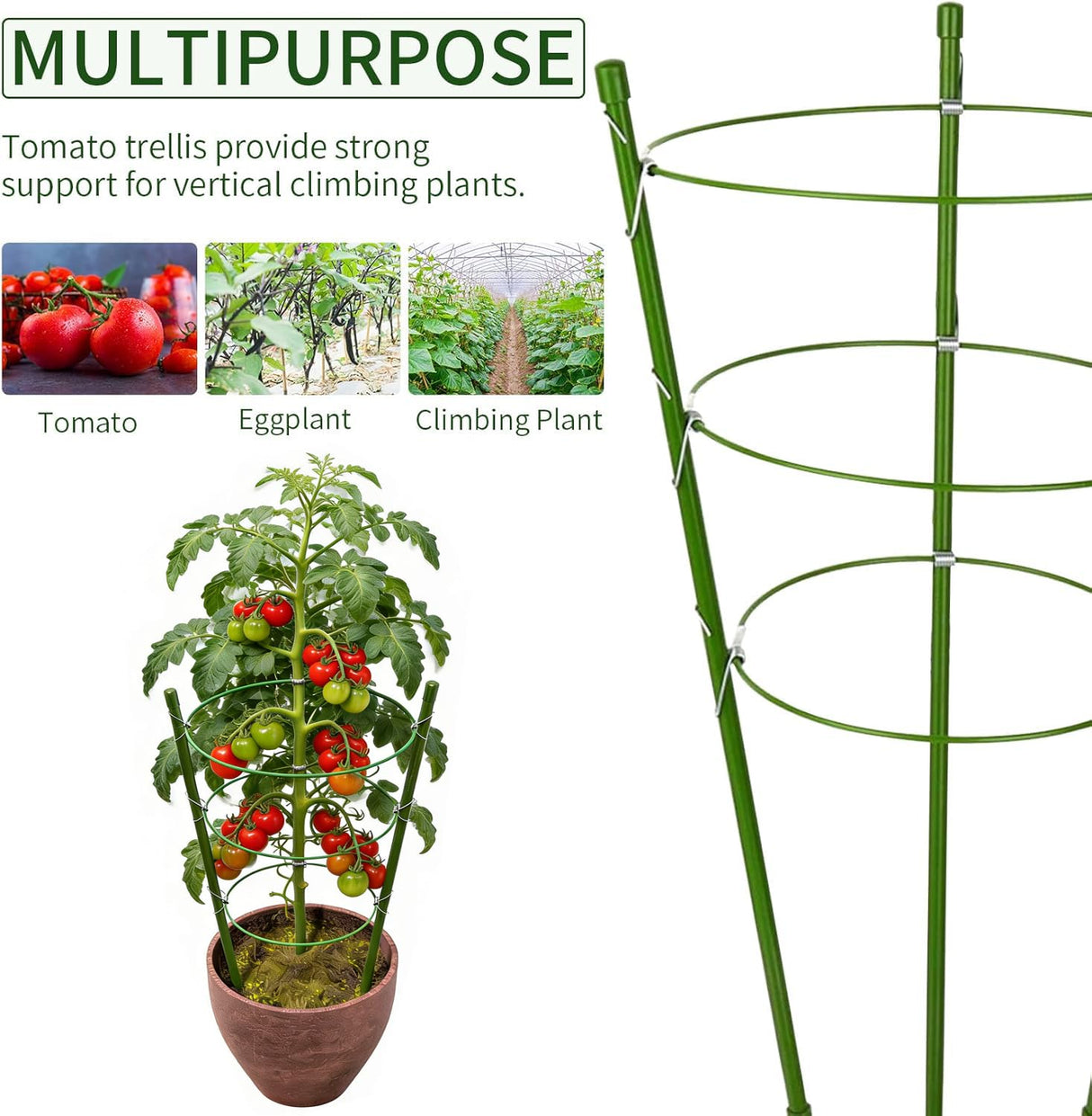 4 Pack Tomato Cage, 24 inches Plant Support Cages for Garden, Upgrade Garden Plant Stakes with Adjustable Rings, Plants Trellis for Tomato, Flower, Climbing Plants, with Twist Tie