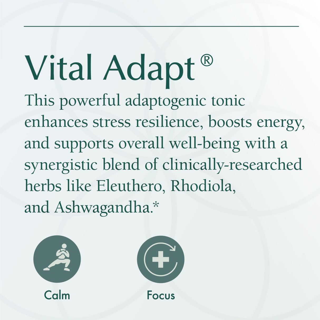 Natura Health Products Vital Adapt Supplement - Daily Nourishing Adaptogenic Tonic for Endocrine Function Support - Featuring Rhodiola, Ashwagandha, Cordyceps, Reishi (60 Capsules)