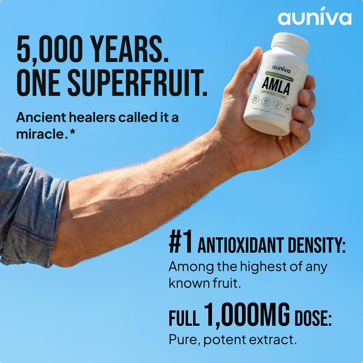 auniva Amla Capsules 1000mg – Indian Gooseberry Amla Fruit Supplement – Amla Powder for Antioxidant, Energy & Digestive Support – Ayurvedic Wellness Formula – 60 Capsules