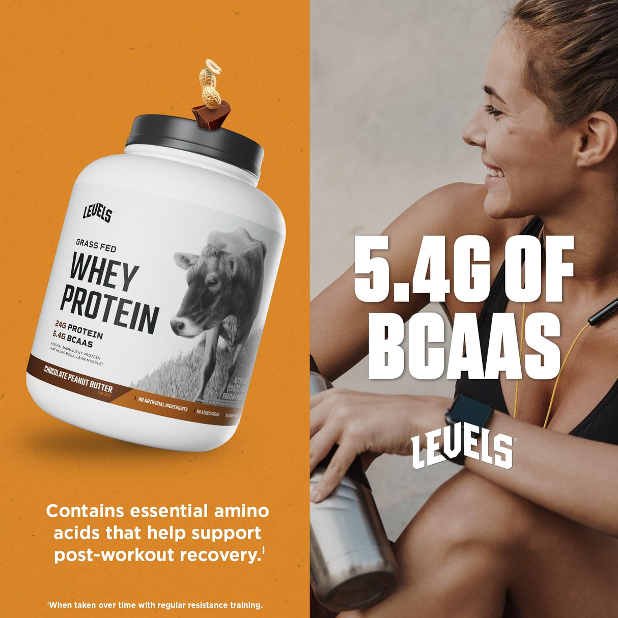 Levels Grass Fed Whey Protein Powder, No Artificials, 24G of Protein, Chocolate Peanut Butter, 5LB