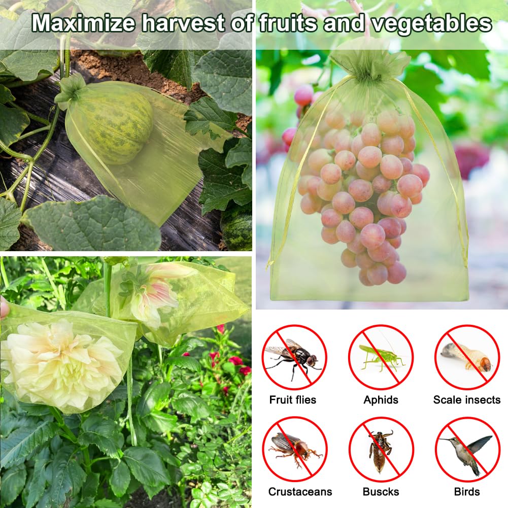 Shintop 100Pcs Fruit Protection Bags, 8x12 Inch Green Grape Netting Cover