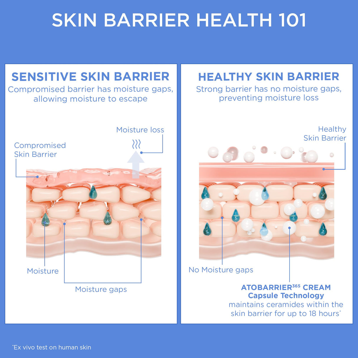 AESTURA ATOBARRIER365 Cream with Ceramides, Korean Moisturizer for Skin Barrier Repair | Long-lasting Hydration, Ceramide Capsules, Dry & Sensitive Skin, Non-comedogenic, 80 mL / 2.70 fl.oz.