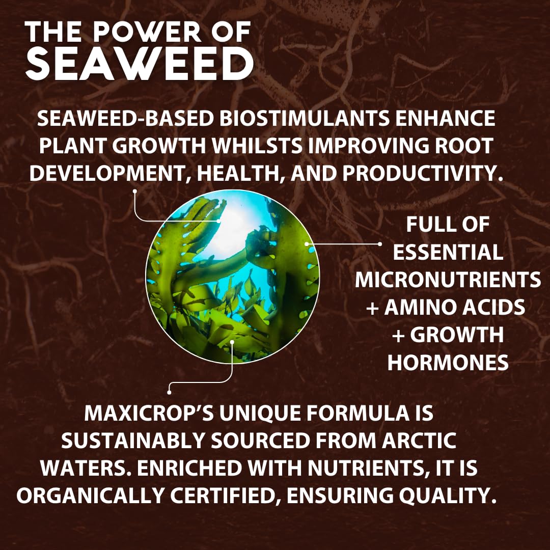 Maxicrop 140210 500ml Original Organic Seaweed Extract