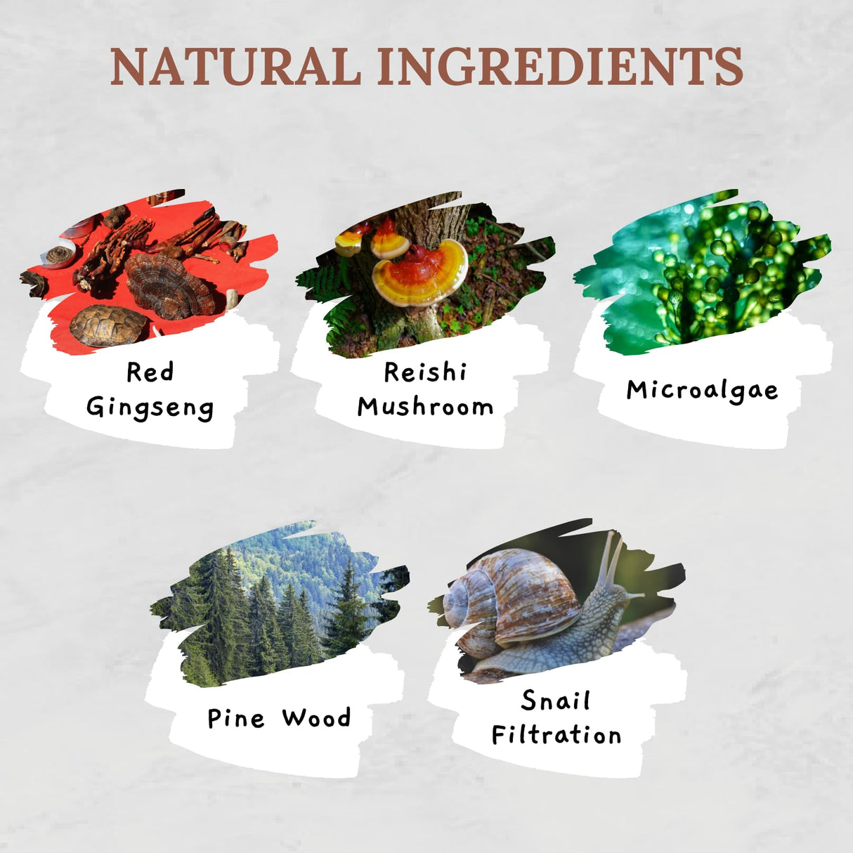 ABERA Kasumi Glowing Cream, Melasma Treatment with Niacinamide & HA, Dark Spot Remover For Face, Reduce Fine Lines, Wrinkles, Anti-aging, Red Ginseng Extract, Melasma Cream (0.7 Oz Per Item)