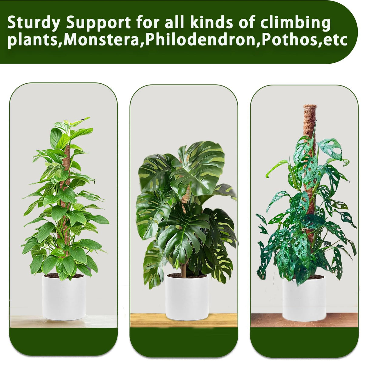 Moss Pole, 4 Pack 17Inch Monstera Plant Support for Climbing Plants Accessories Indoor -Stackable Moss Poles Plant Support Stakes -Coir Plant Pole Sticks for Potted Plants -Pothos, Tall Plant Trellis