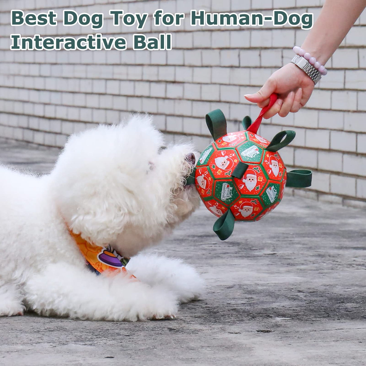 QDAN Christmas Dog Toys: Soccer Ball with Straps for Outdoor Play, Tug of War, Puppy Gifts - Durable 8-Inch Balls for Medium Large Dogs