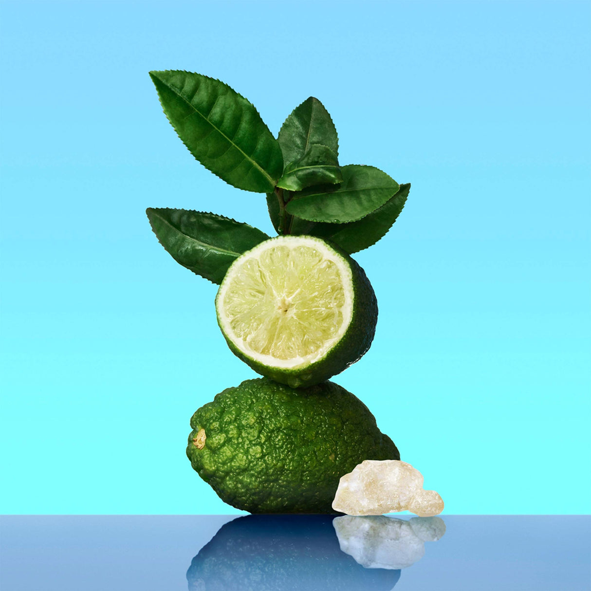 Calvin Klein Ck One Eau de Toilette 10 fl oz