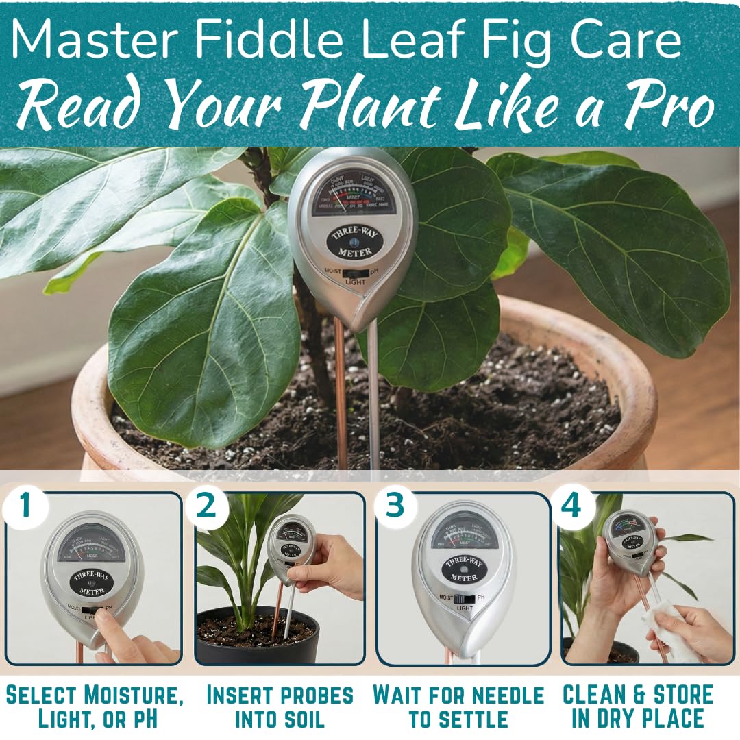 Fiddle Leaf Fig Health Meter, 3-in-1 Soil Moisture, Light & pH Testing Tool