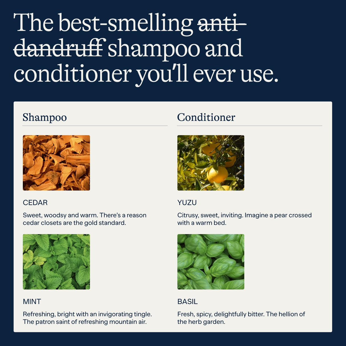 Flakes Anti-Dandruff Shampoo and Conditioner Set for Men | Dry, Flaky, & Itchy Scalp Relief | Sulfate and Paraben Free for Healthy Hair | Gentle, Hydrating Shampoo & Moisturizing Conditioner | 9 fl oz