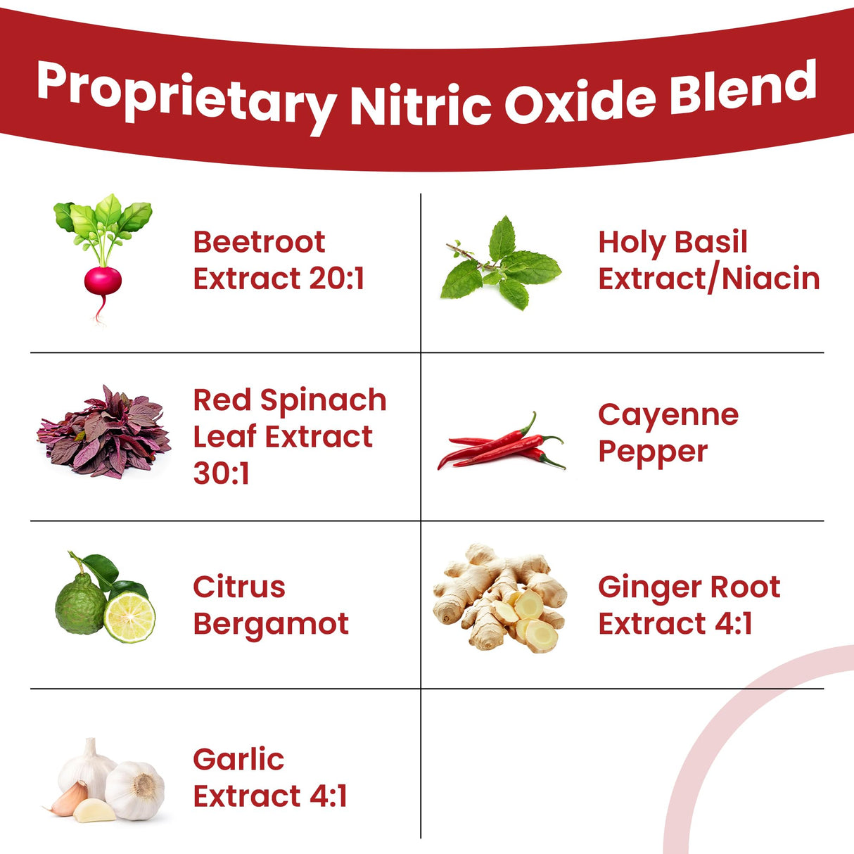 SunNutrition Nattokinase Supplement Nitric Oxide Capsules Beet Root Extract High Potency Lumbrokinase & Bromelain Systemic Enzymes Nitric Oxide Blend Clean & Flow Vascular Defense 60 Caps 30 Servings