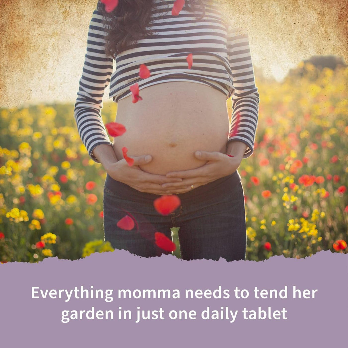 Garden of Life Prenatal Vitamins for Women, Organics Folate for Energy & Healthy Fetal Development,Non-constipating Iron,Vitamin C, B6, B12, D3,Non-GMO,Gluten-Free, Vegan, 90 Day Supply (Pack of 2)