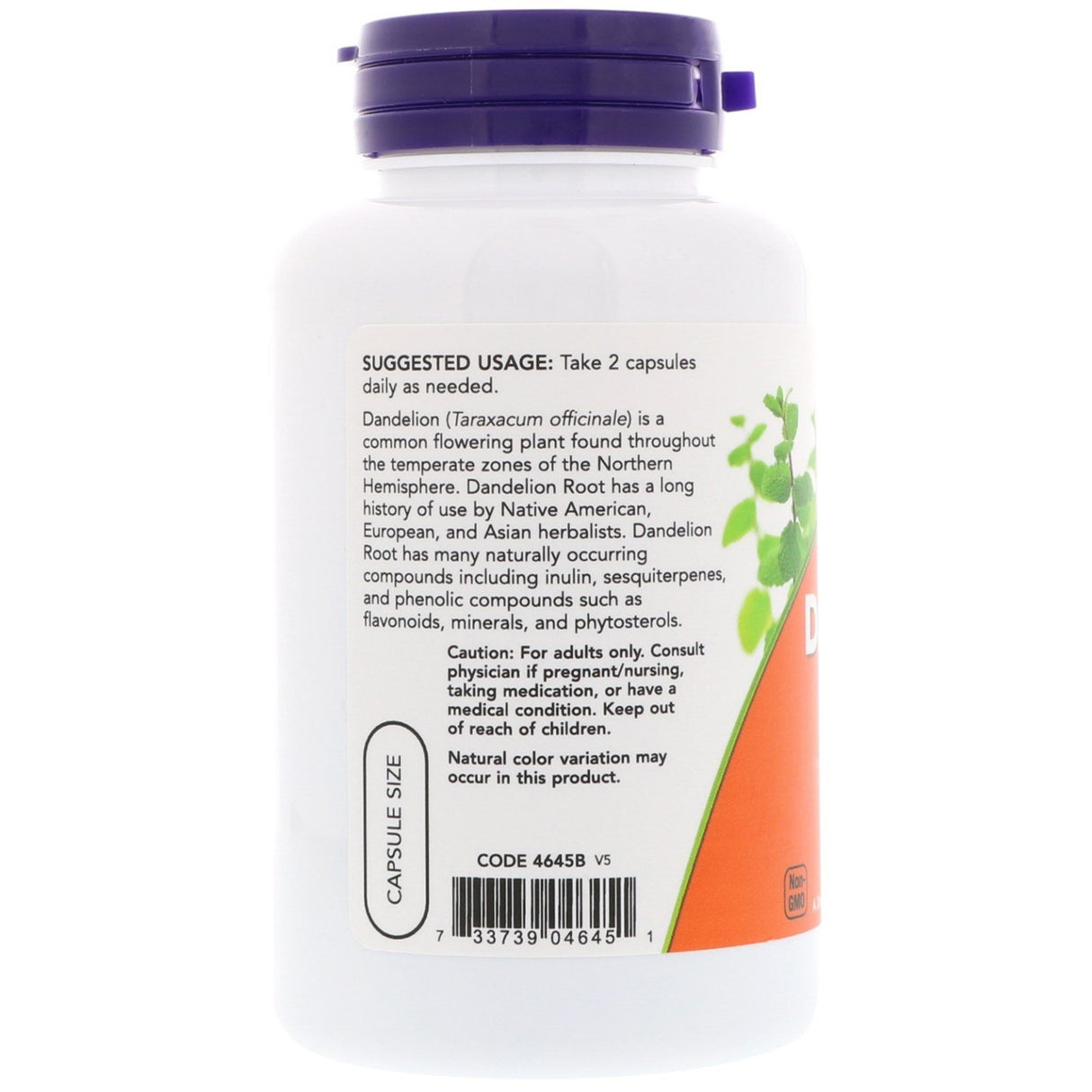 NOW Dandelion Root 500mg, 100 Capsules (Pack of 3)