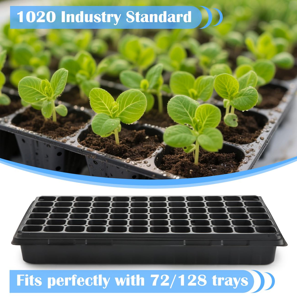 10-Pack Heavy-Duty 1020 Seed Trays – Durable, Thick Plastic Flats for Seed Starting, Microgreens & Transplanting – Fits 7.3'' Humidity Dome and 4'' Planter (21" x 11", 2.76" Deep, No Drain Hole)