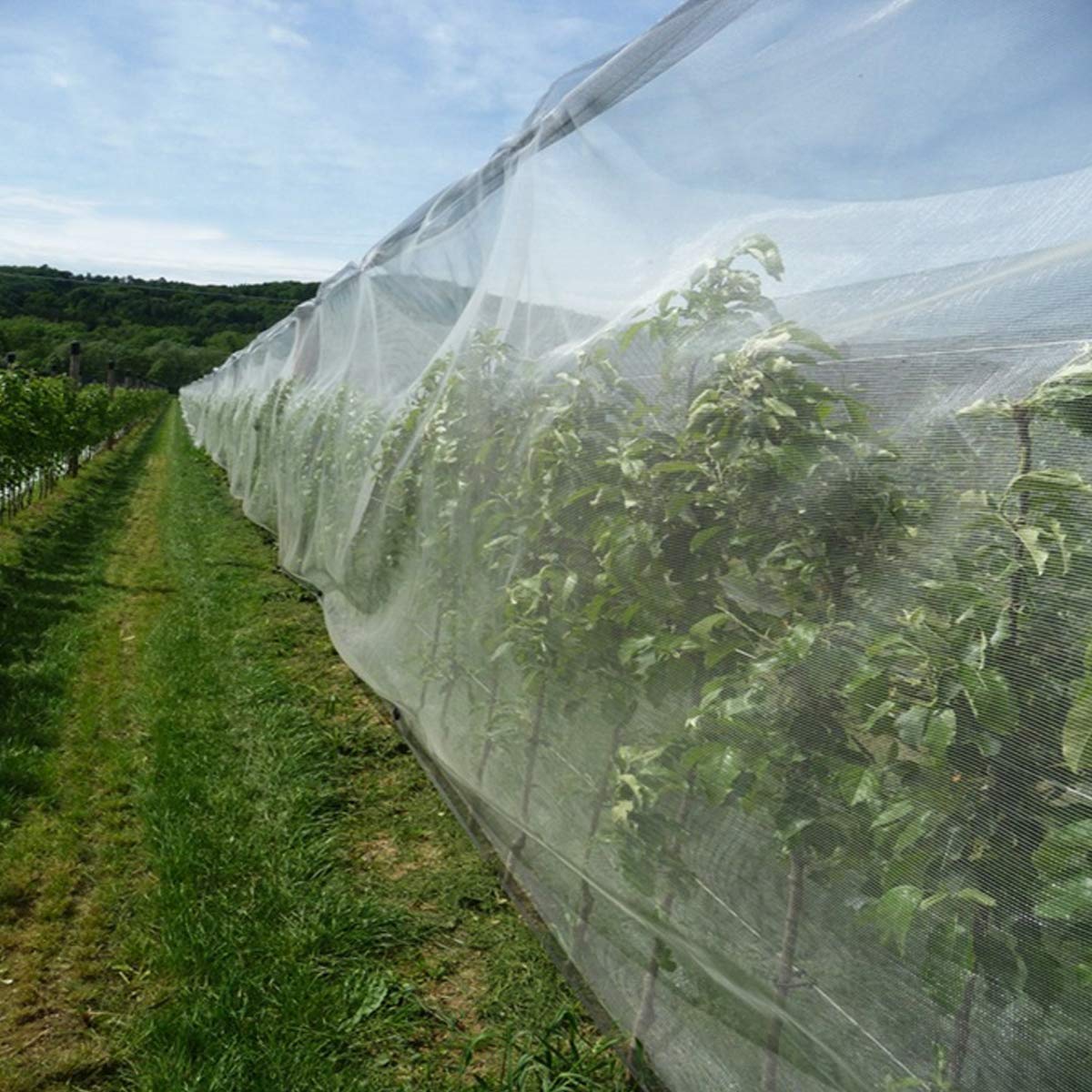 Garden Netting, Plant Covers 10x33Ft Net Ultra Fine Mesh Protection Netting for Vegetable Plants Fruits Flowers Crops Greenhouse Row Cover Raised Bed Barrier Screen Protection Net Cover (10x33ft)
