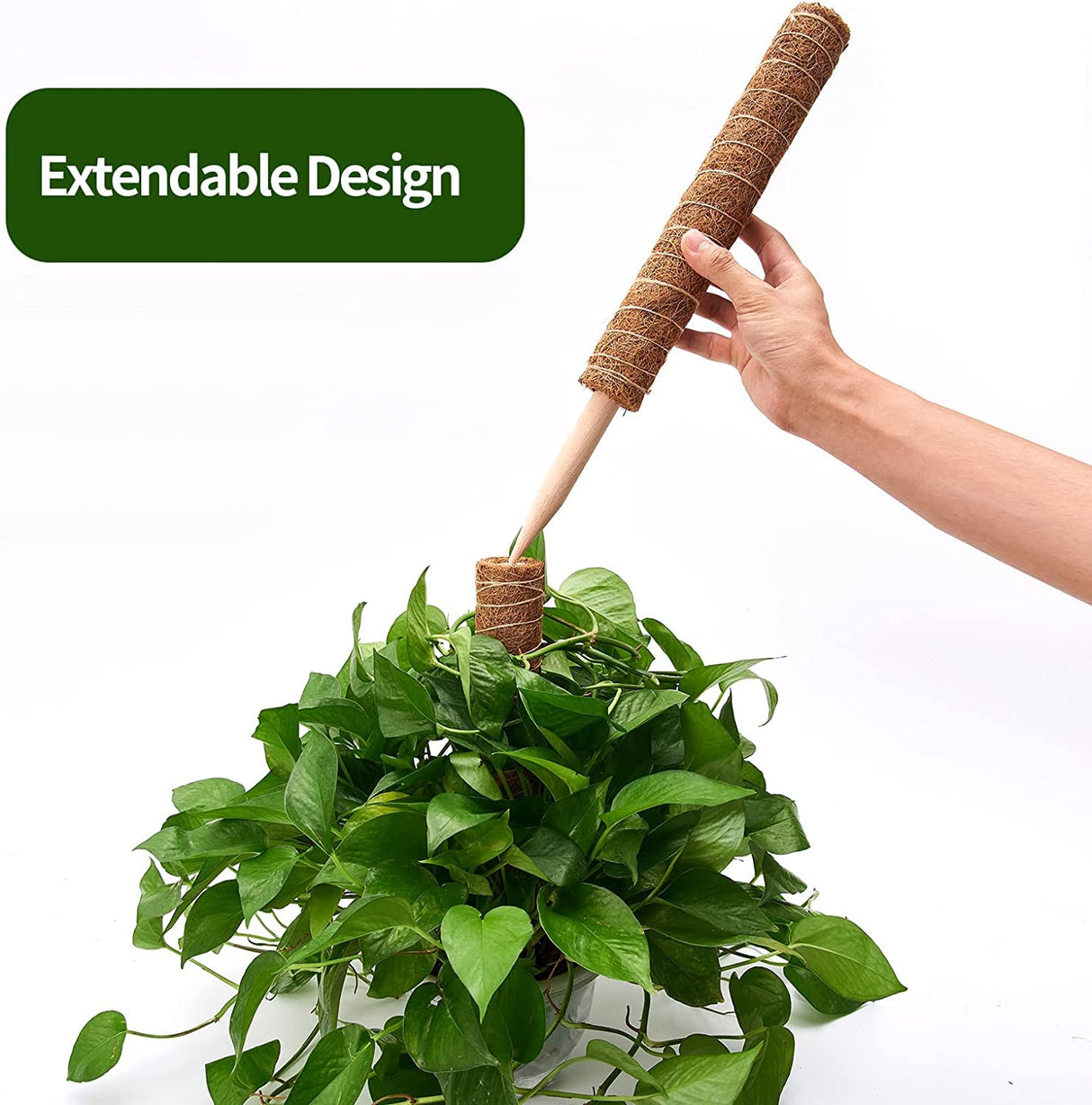 Eibikdi 101in Moss Pole for Plants Monstera 8 Pcs