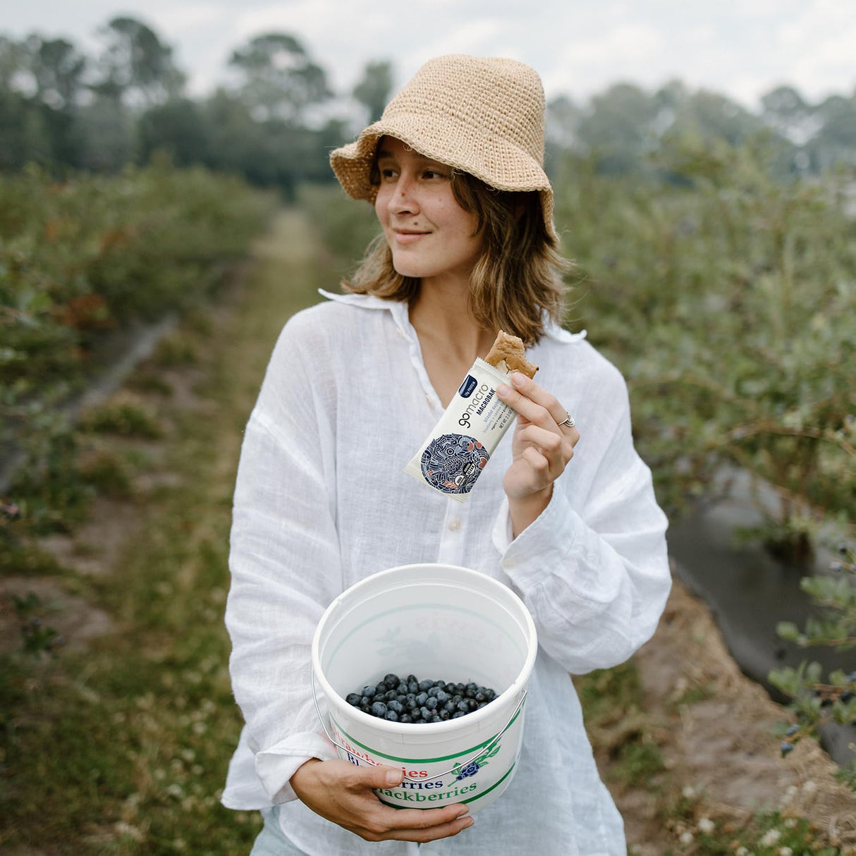 GoMacro Macrobar Organic Vegan Protein Bars - Blueberry + Cashew Butter (2.3 Ounce Bars (Pack of 12)