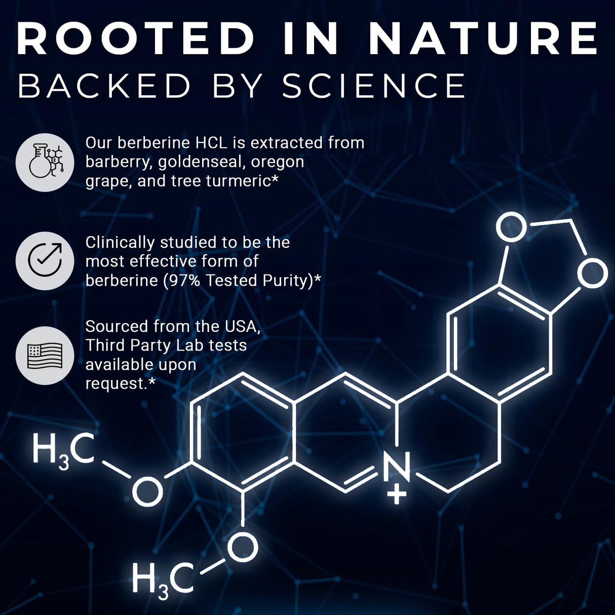 ACEWORKZ Berberine HCL 1200mg Supplement – 97% High Purity – Support Weight Management, Craving Control, Heart & Gut Health (60 Capsules)