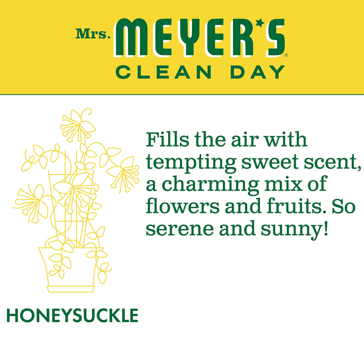 MRS. MEYER'S CLEAN DAY Liquid Laundry Detergent, Biodegradable Formula Infused with Essential Oils, Honeysuckle, 64 oz - Pack of 2 (128 Loads)