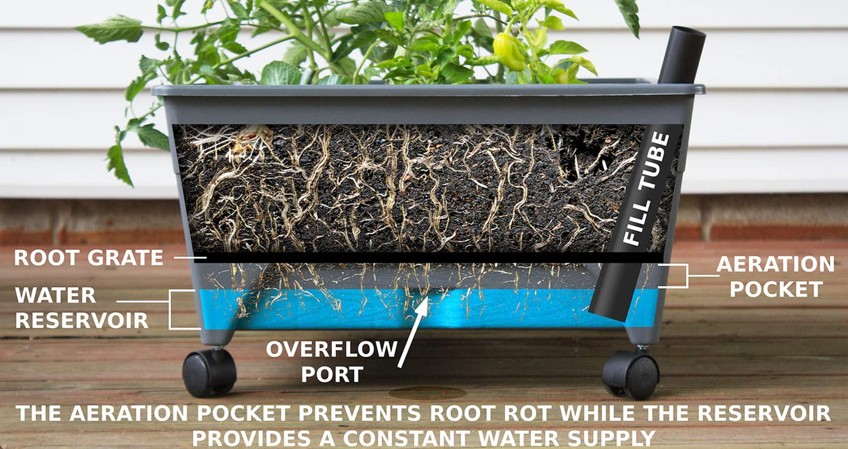 Emsco Group City Picker Raised Bed Grow Box – Self Watering and Improved Aeration – Mobile Unit with Casters - Slate