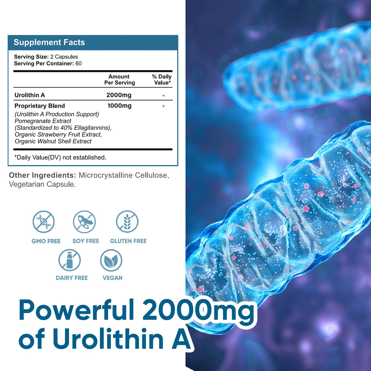 DQQI Urolithin A Supplement 2000 mg - 120 Capsules Unleashing Powerful Antioxidant Shield, Boosting Healthy Aging & Mitochondrial Health and Cell Repair Support for Men & Women
