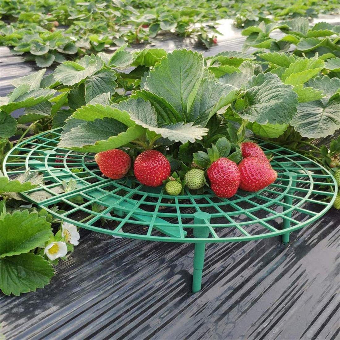 10 Pack Strawberry Supports Keeping Fruit Elevated & Balcony Planting Rack Fruit Support Plant Flower Climbing Vine Pillar Gardening Stand