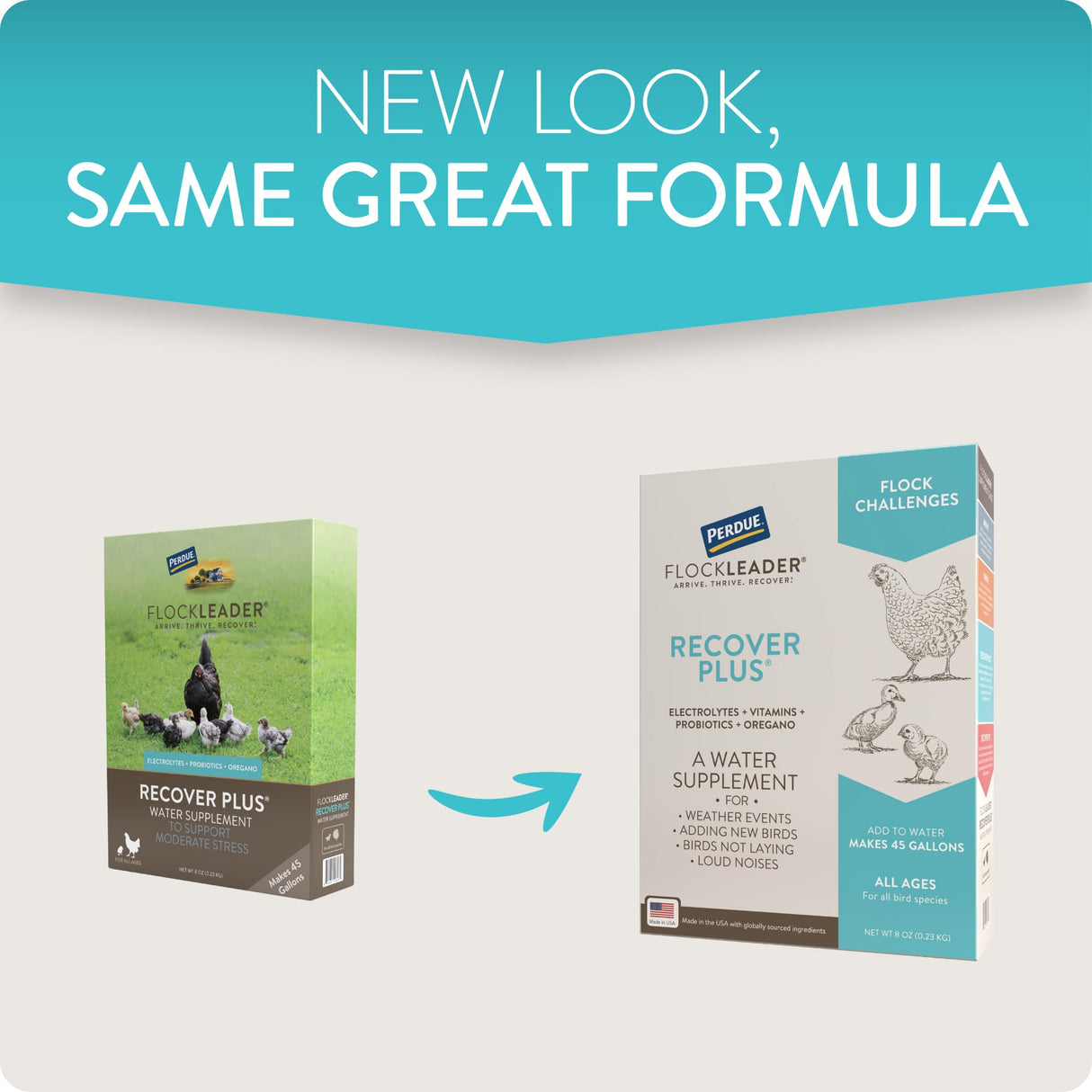 FlockLeader Recover Plus Moderate Stress Probiotic Water Supplement for Chickens with Electrolytes & Oregano, 8 oz