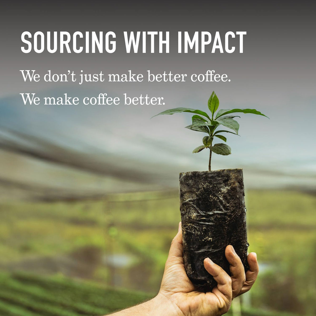 Peet's Coffee Ground Coffee Dark Roast, Major Dickason's Blend, 18 Ounces