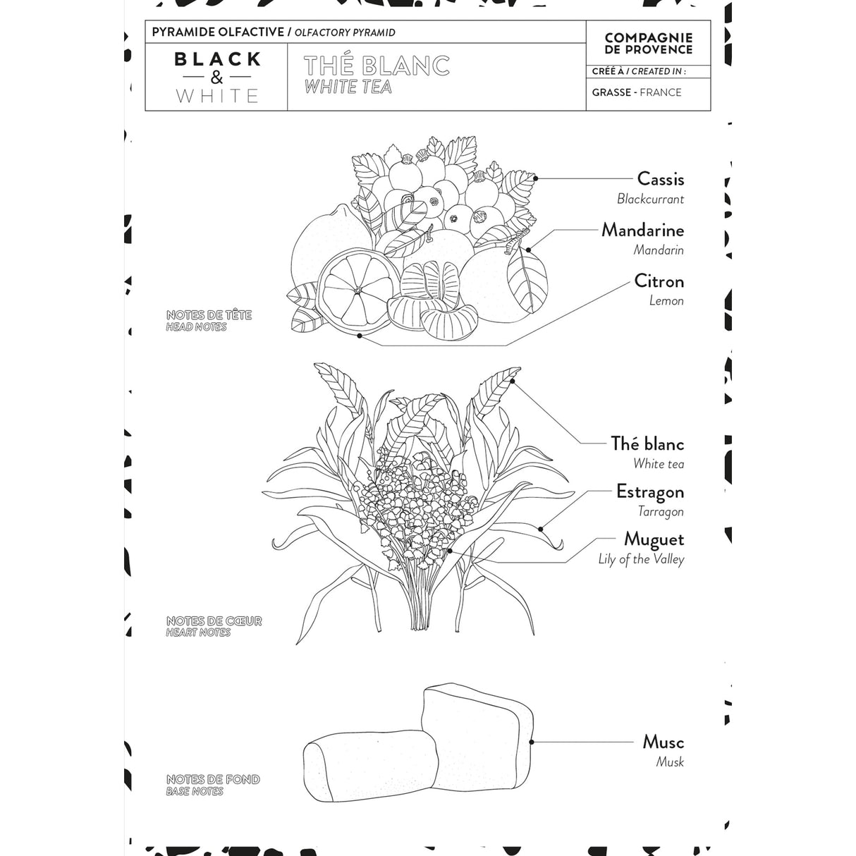 Compagnie de Provence - Liquid Soap and Luxury Hand Cream - White Tea