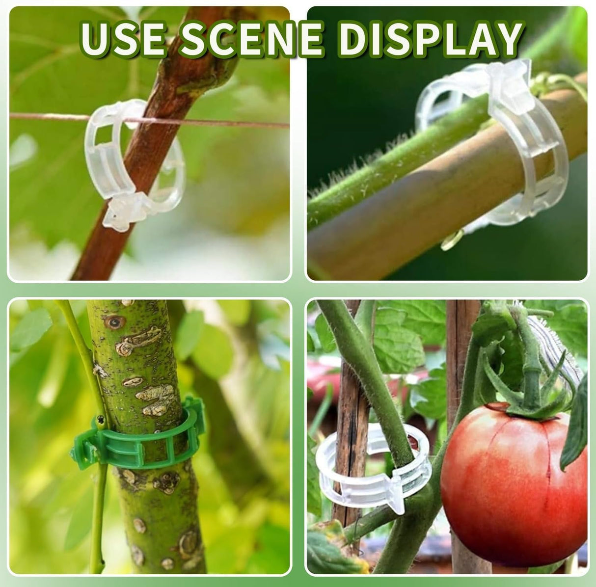 50Pcs Secured Plastic Plant Clip, 2026 Upgrade Plant Support Clips Reusable Garden Clips, Garden Clips for Climbing Plants Tomato Grape Vine Vegetables Plant Fixing Clips (50, Green)